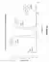 Fig. 06 - Capillary-channeled polymeric fiber as solid phase extraction media