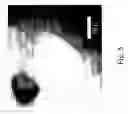 Fig. 06 - Polymer matrixes having nanoscale channels and uses