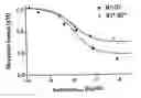 Fig. 01 - Method for determining the binding behavior of ligands which specifically bind to target molecules