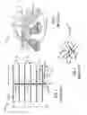 Fig. 02 - Apparatus for transporting pipe formed from pipe segments