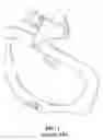 Fig. 02 - Level-handled type automatic shutoff faucet structure