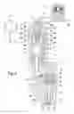 Fig. 03 - Control valve for a fuel injector comprising a pressure exchanger