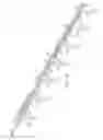 Fig. 04 - Combined guardrail and cable safety systems