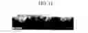 Fig. 16 - Thin film transistor, thin film transistor panel, and method of manufacturing the same
