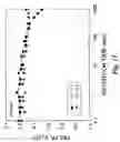 Fig. 17 - Non-volatile memory cells, memory arrays including the same and methods of operating cells and arrays