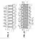 Fig. 09 - Flash memory cell arrays having dual control gates per memory cell charge storage element