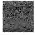 Fig. 01 - Magnetic tunnel junction structure with amorphous NiFeSiB free layer