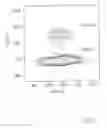 Fig. 07 - Magnetoresistive medium including a vicinally treated substrate