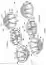 Fig. 03 - Packing for column