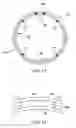 Fig. 08 - Method of forming an anti-reflective coating on an eyeglass lens