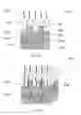 Fig. 25 - METHOD OF MAKING ABSORBENT CORE STRUCTURES WITH UNDULATIONS