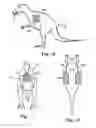 Fig. 12 - Archery target with covering layer