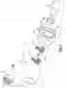 Fig. 05 - Scrubber
