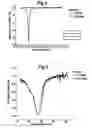 Fig. 04 - Electromagnetic radiation absorber