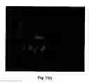Fig. 03 - Systems and methods to optimize volumetric rendering of a region of interest (