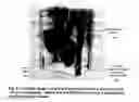Fig. 05 - Systems and methods to optimize volumetric rendering of a region of interest (
