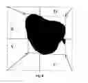 Fig. 10 - Systems and methods to optimize volumetric rendering of a region of interest (