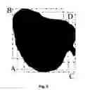 Fig. 11 - Systems and methods to optimize volumetric rendering of a region of interest (