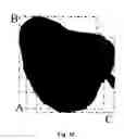 Fig. 12 - Systems and methods to optimize volumetric rendering of a region of interest (