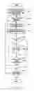 Fig. 12 - Apparatus and method for processing image information captured over time at plurality of positions in subject body