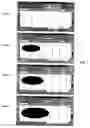 Fig. 02 - Computer screen motion capture
