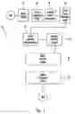 Fig. 02 - Real-time rendering of embedded transparent geometry in volumes on commodity graphics processing units