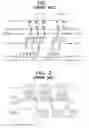 Fig. 02 - Thermal transfer printing system and method with improved print quality and printhead life in cold ambient temperature conditions