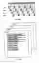 Fig. 19 - Printing system, printing method, and adjustment method