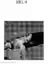 Fig. 08 - Ink set, treating liquid, recording liquid, image recording apparatus and image recording method