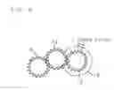 Fig. 04 - Image formation apparatus
