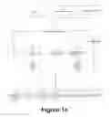 Fig. 02 - Perfecting of digital image capture parameters within acquisition devices using face detection