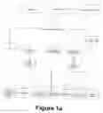 Fig. 02 - Perfecting the optics within a digital image acquisition device using face detection
