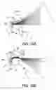 Fig. 12 - Illumination apparatus for image-taking