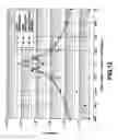 Fig. 13 - Liquid crystal display device with a pair of discotic liquid crystal compensating films