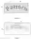 Fig. 03 - Method of making patterned liquid crystal structure