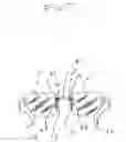 Fig. 08 - Rimless eyeglasses