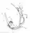 Fig. 06 - Wireless interactive headset