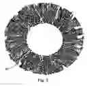 Fig. 03 - Colored contact lens