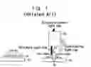 Fig. 02 - Display optical system