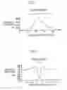 Fig. 05 - Apparatus and method for inspecting film defect