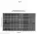 Fig. 11 - Gel polymers containing ionic liquids