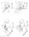 Fig. 07 - Display apparatus for vehicle