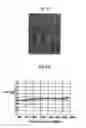 Fig. 16 - Perpendicular magnetic recording head for high frequency drive