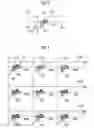 Fig. 06 - Method and device for driving solid electrolyte cells