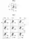 Fig. 07 - Method and device for driving solid electrolyte cells
