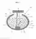 Fig. 20 - Light recycling illumination systems with wavelength conversion