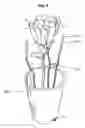 Fig. 08 - Device for providing internal illumination of live flowers and other products