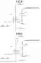 Fig. 08 - Dynamic random access memories and method for testing performance of the same