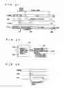 Fig. 18 - Fully-hidden refresh dynamic random access memory