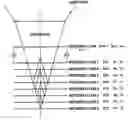 Fig. 01 - Multilayer recording medium and method of manufacturing the same